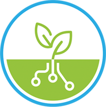 The RTF logo displays digital roots growing into a seedling.