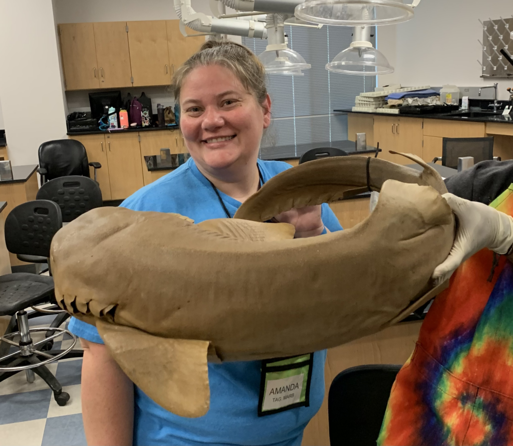 A picture of teacher Amanda Bramlett smiling with a shark held in front of her. 