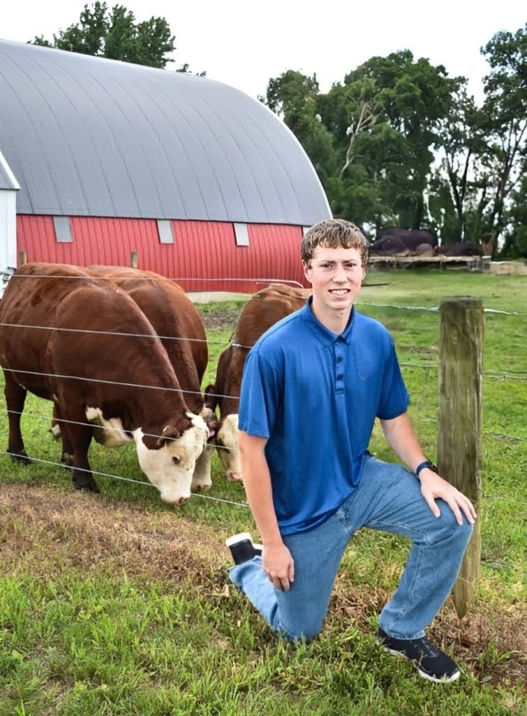A photo of students Brady Cronen kneeling outside, in front of three cows.