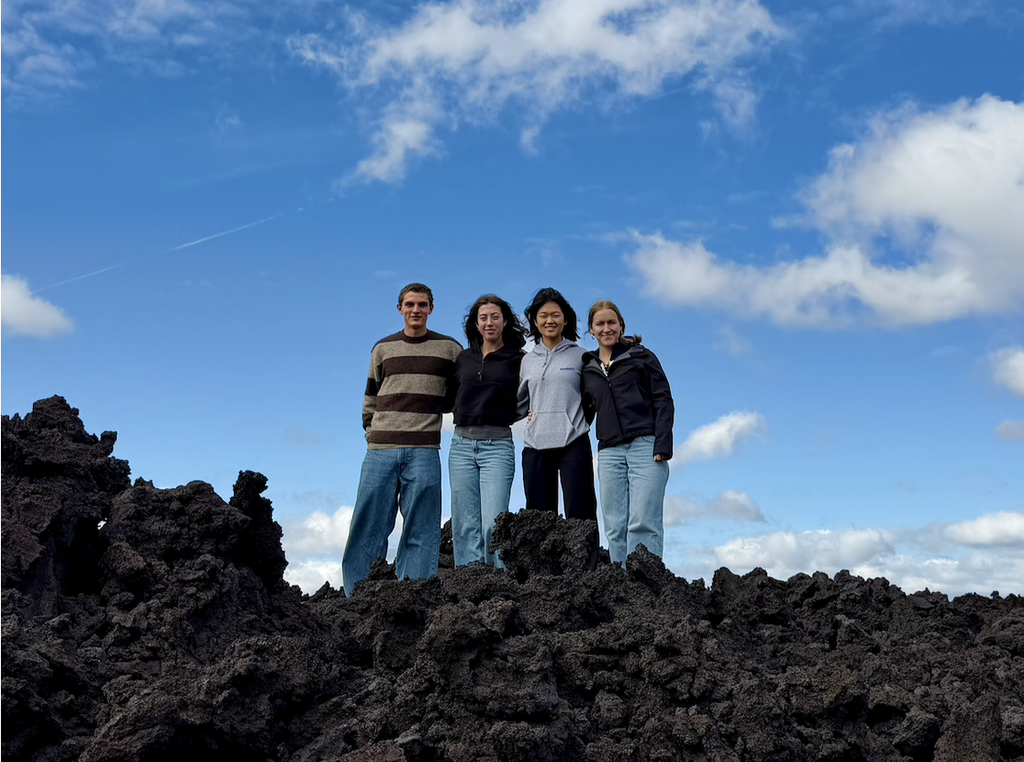 A group shot of the individuals who traveled to Iceland for the HABET program.